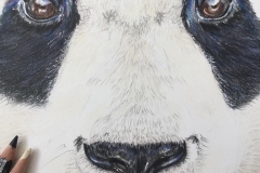 eZy-Watermark_08-08-2019_04-34-24PM