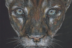 gicleePuma-Web