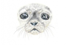 gicleeSeal-Web
