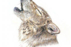 gicleeWolf-Web