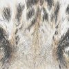 Baby Tiger eyes